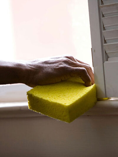 Mold Prevention